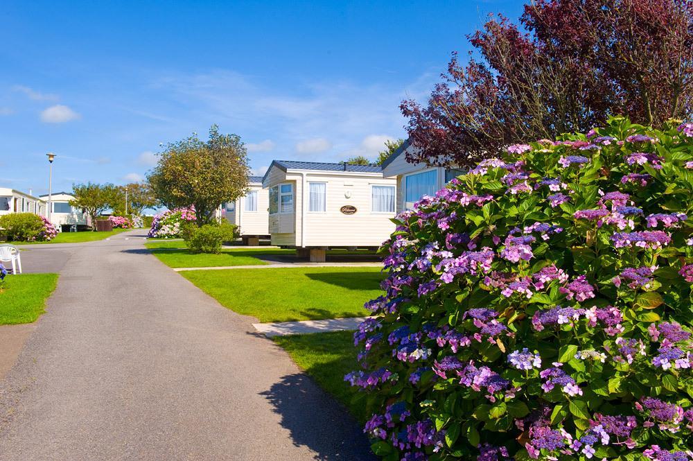 Wooda Farm Holidays Bude Chambre photo