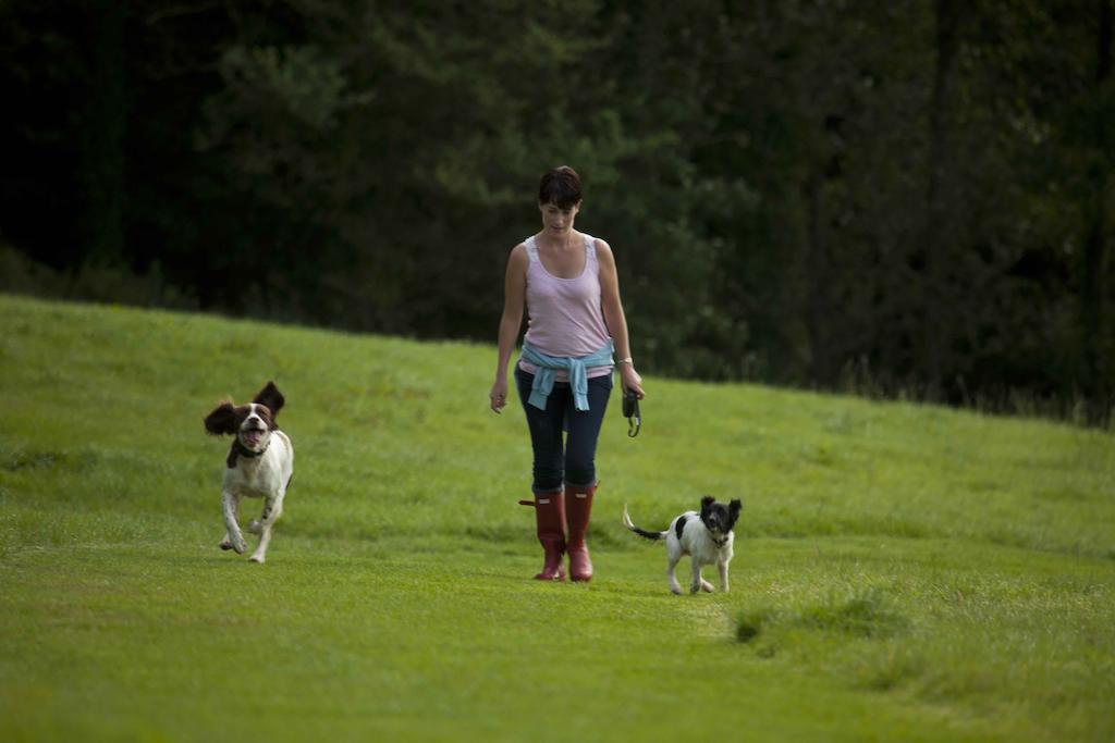 Wooda Farm Holidays Bude Extérieur photo
