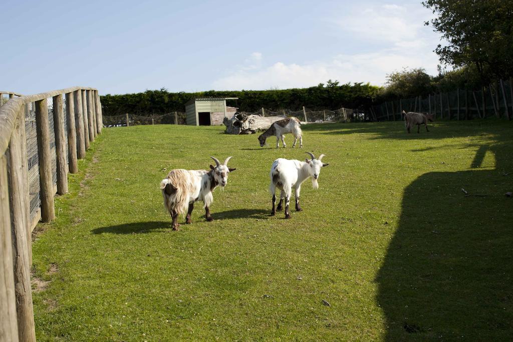 Wooda Farm Holidays Bude Extérieur photo